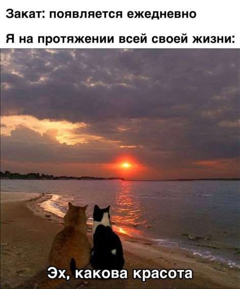 Закат: появляется ежедневно Я на протяжении всей своей жизни: Эх, какова красота