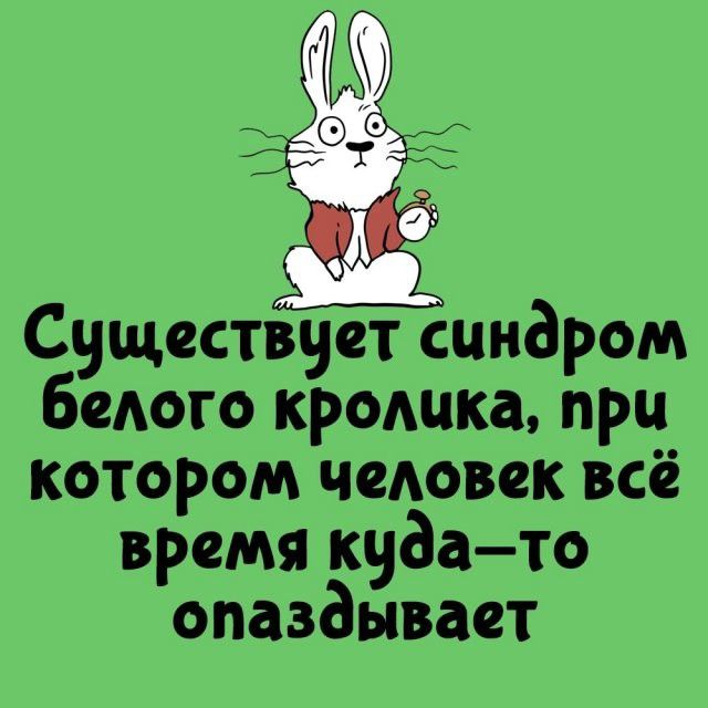 Существует синдром белого кролика, при котором человек всё время куда-то опаздывает