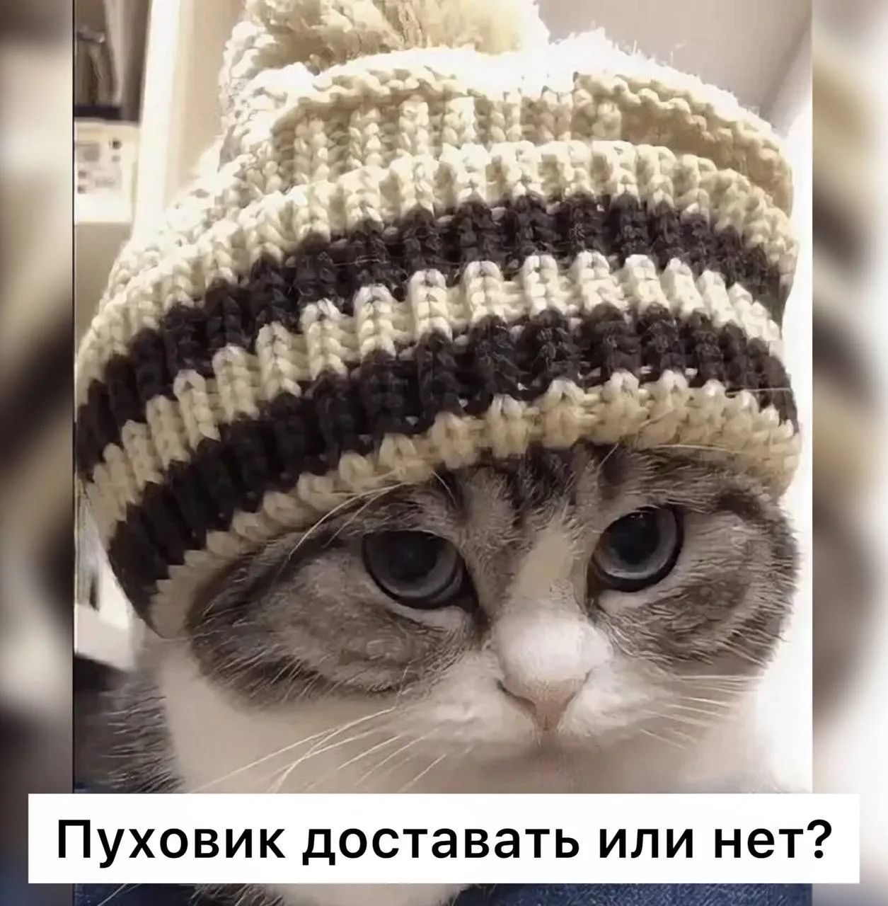 Пуховик доставать или нет?