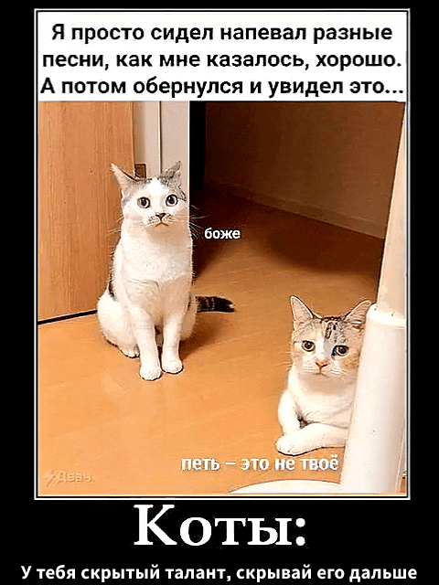 Я просто сидел напевал разные песни, как мне казалось, хорошо. А потом обернулся и увидел это... боже петь - это не твоё Коты: У тебя скрытый талант, скрывай его дальше