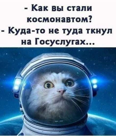 - Как вы стали космонавтом?
- Куда-то не туда ткнул на Госуслугах...