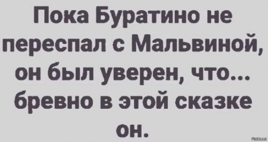 Пока Буратино не переспал с Мальвиной, он был уверен, что... бревно в этой сказке он.