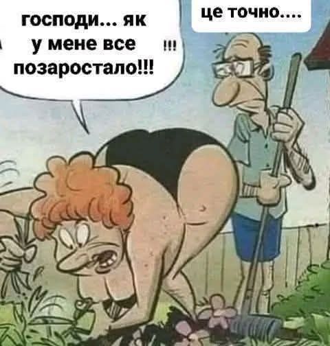 господи... як у мене все позаростало!!! це точно....