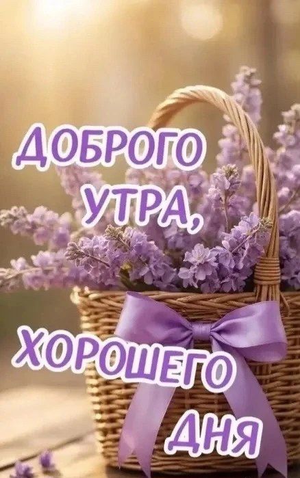 ДОБРОГО УТРА, ХОРОШЕГО ДНЯ