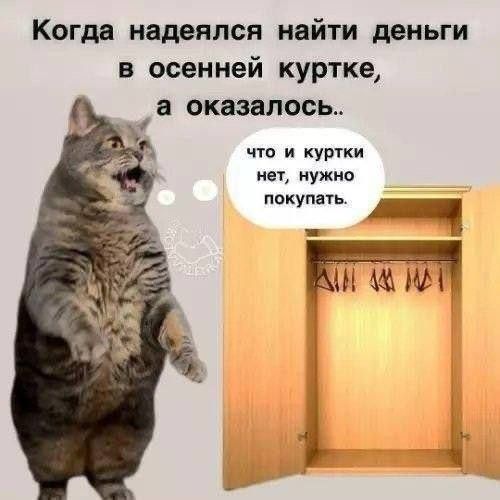Когда надеялся найти деньги в осенней куртке, а оказалось.. что и куртки нет, нужно покупать.