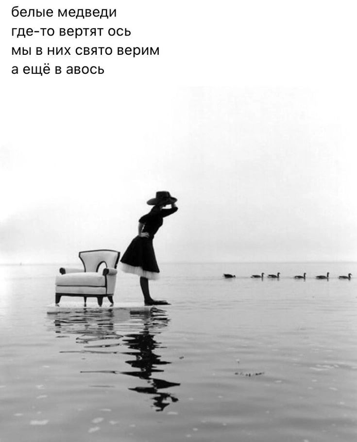 белые медведи где-то вертят ось мы в них свято верим а ещё в авось