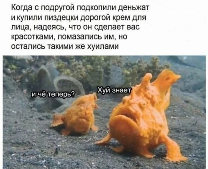 Когда с подругой подкопили деньжат и купили пиздецки дорогой крем для лица, надеясь, что он сделает вас красотками, помазались им, но остались такими же хуилами. и чё теперь? Хуй знает