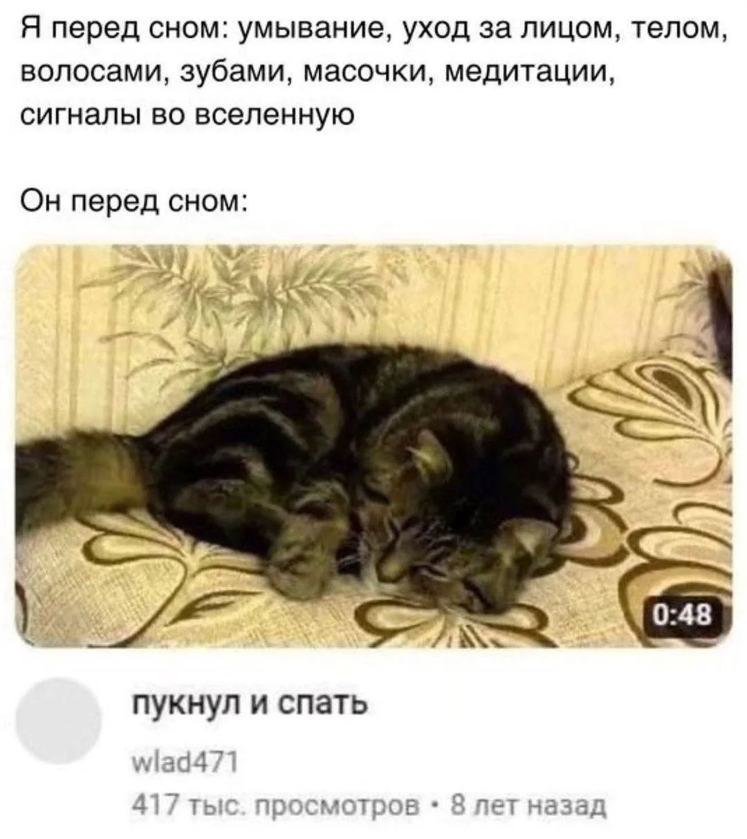 Я перед сном: умывание, уход за лицом, телом, волосами, зубами, масочки, медитации, сигналы во вселенную. Он перед сном: пукнул и спать.