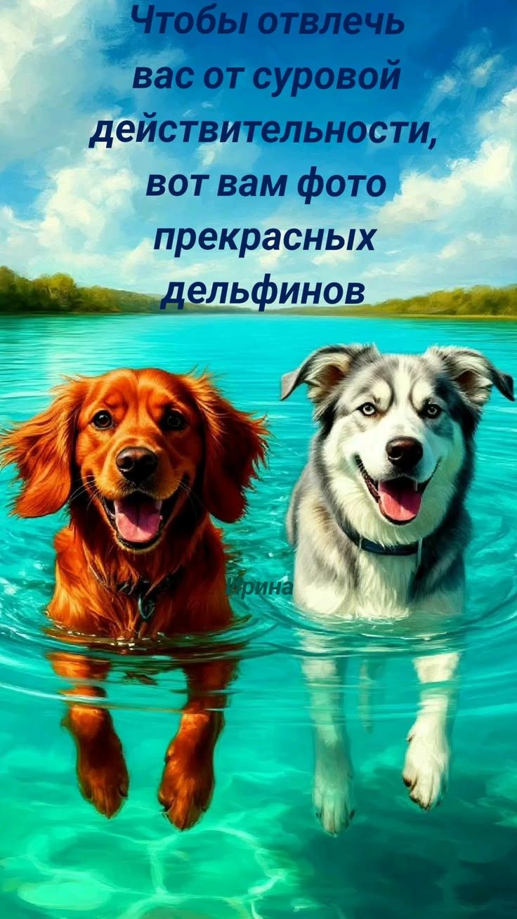 Чтобы отвлечь вас от суровой действительности, вот вам фото прекрасных дельфинов