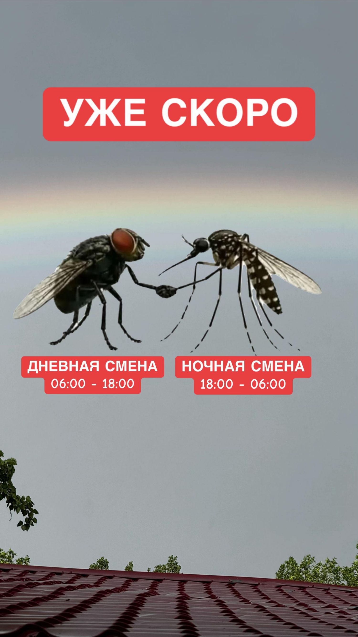 УЖЕ СКОРО ДНЕВНАЯ СМЕНА 06:00 - 18:00 НОЧНАЯ СМЕНА 18:00 - 06:00