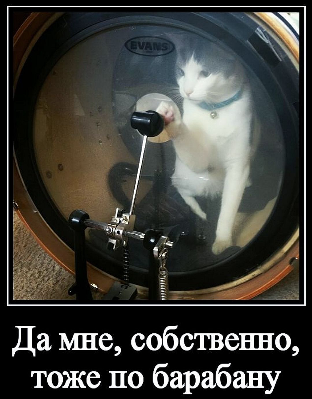 EVANS Да мне, собственно, тоже по барабану