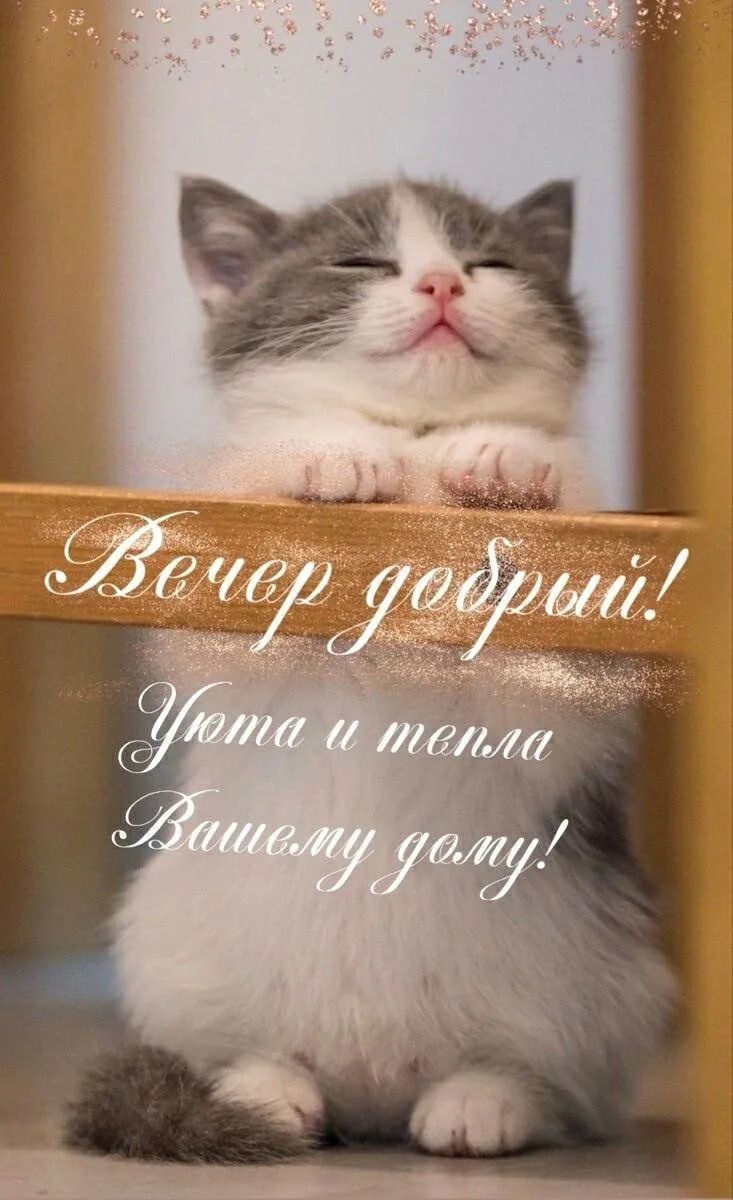 Вечер добрый! Уюта и тепла Вашему дому!