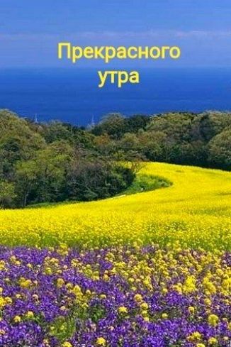 Прекрасного утра
