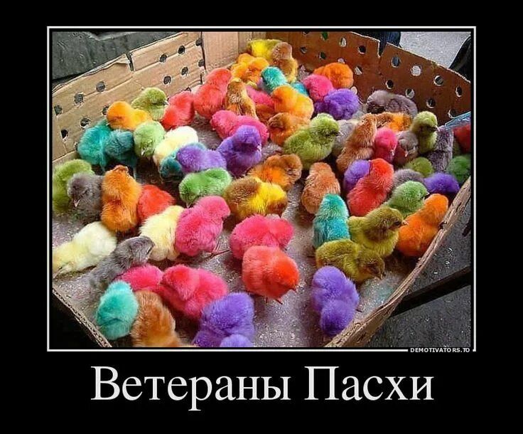 Ветераны Пасхи