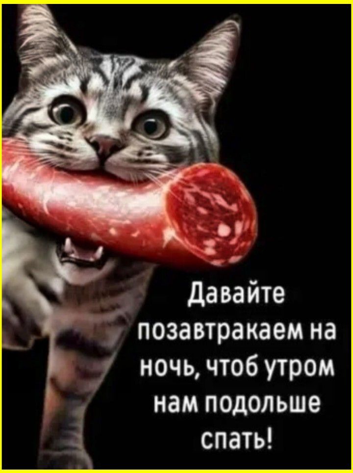 Давайте позавтракаем на ночь, чтоб утром нам подольше спать!