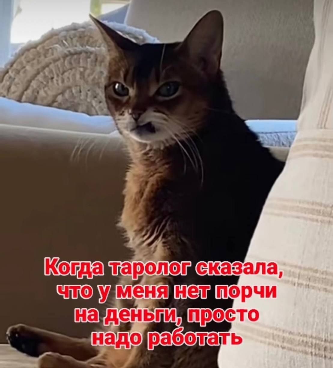 Когда таролог сказала, что у меня нет порчи на деньги, просто надо работать