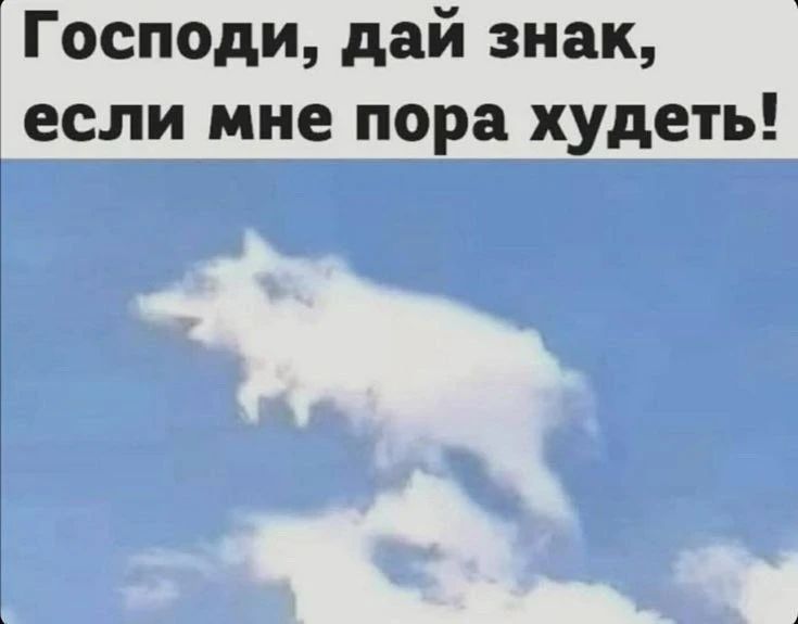 Господи, дай знак, если мне пора худеть!