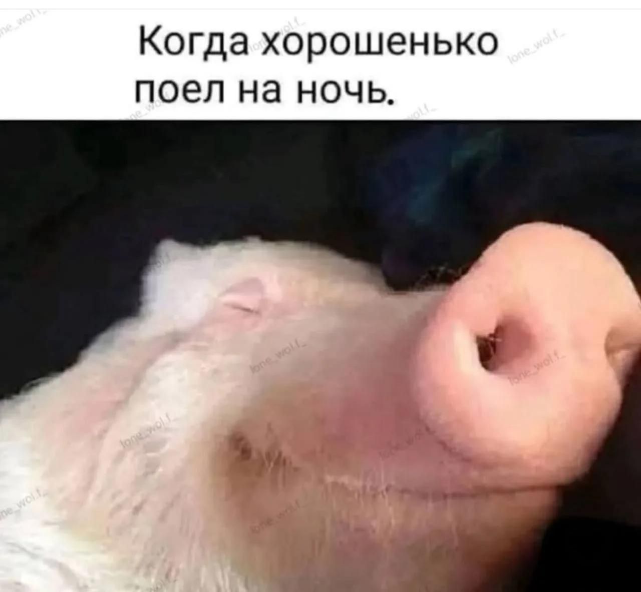 Когда хорошенько поел на ночь.