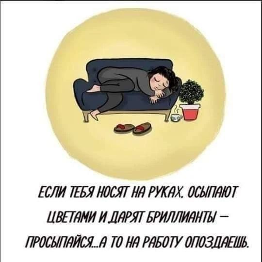 ЕСЛИ ТЕБЯ НОСЯТ НА РУКАХ, ОСЫПАЮТ ЦВЕТАМИ И ДАРЯТ БРИЛЛИАНТЫ – ПРОСЫПАЙСЯ... А ТО НА РАБОТУ ОПОЗДАЕШЬ.
