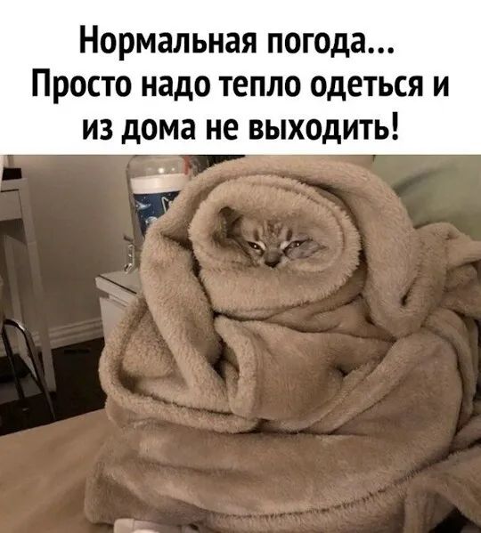 Нормальная погода... Просто надо тепло одеться и из дома не выходить!