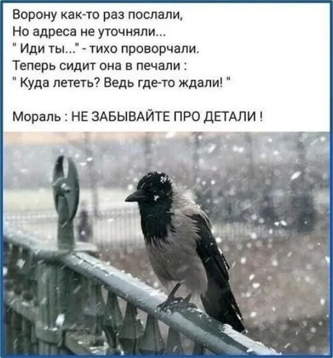 Ворону как-то раз послали, Но адреса не уточняли... 