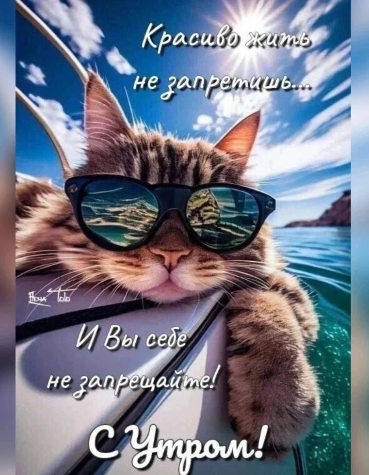 Красиво жить не запретишь... И Вы себе не запрещайте! С Утром!