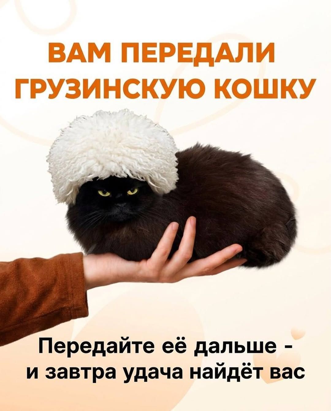 ВАМ ПЕРЕДАЛИ ГРУЗИНСКУЮ КОШКУ Передайте её дальше - и завтра удача найдёт вас