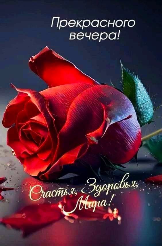 Прекрасного вечера! Счастья, Здоровья, Мира!