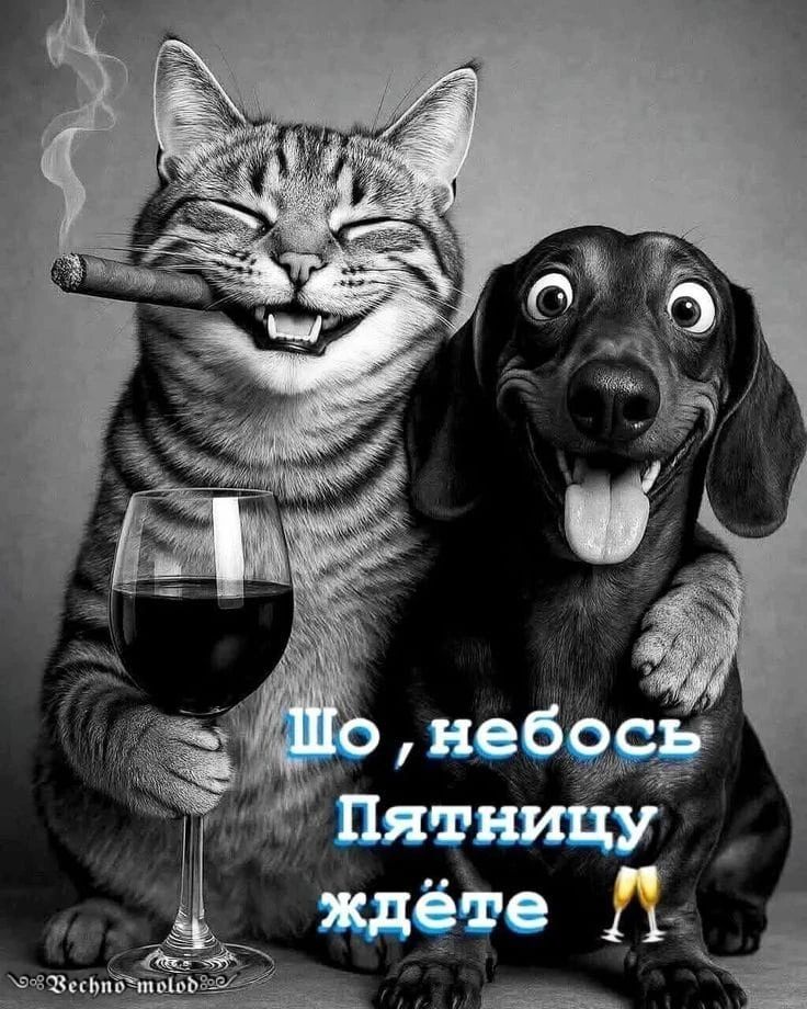 Шо, небось Пятницу ждёте 🥂