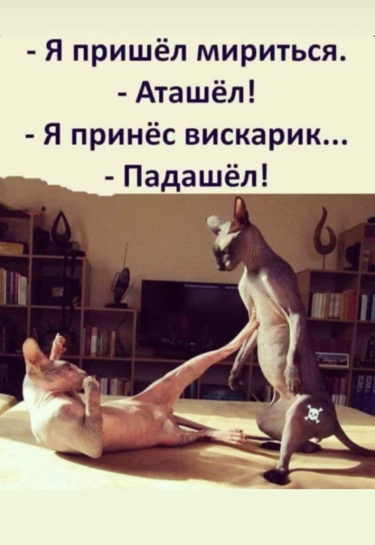 - Я пришёл мириться.
- Аташёл!
- Я принёс вискарик...
- Падашёл!