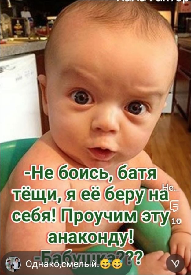 Не боись, батя тёщи, я её беру на себя! Проучим эту анаконду! Бабушка??? Однако, смелый.