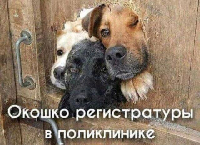 Окошко регистратуры в поликлинике