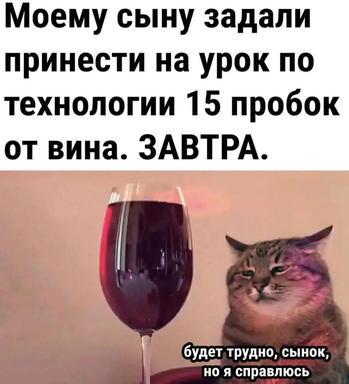Моему сыну задали принести на урок по технологии 15 пробок от вина. ЗАВТРА. будет трудно, сынок, но я справлюсь