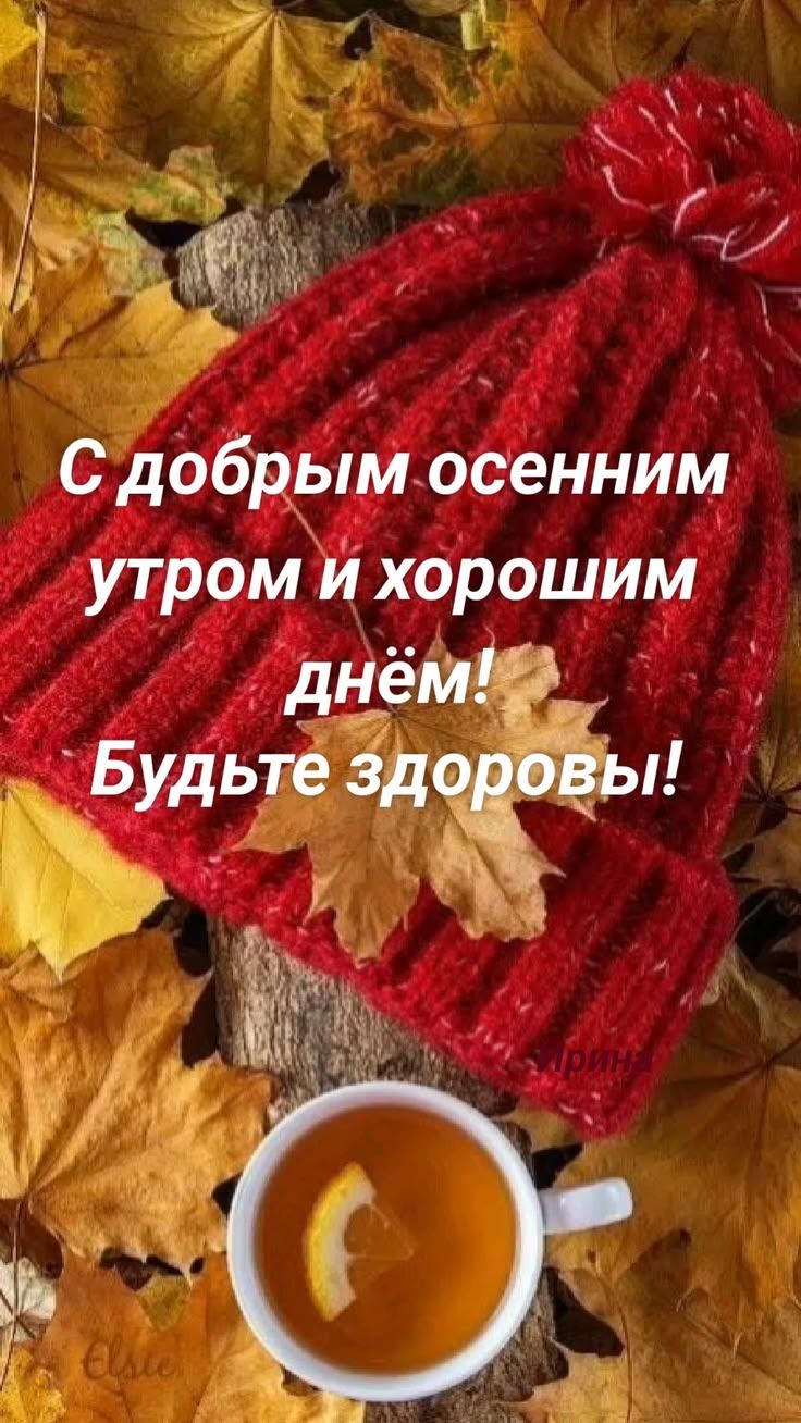 С добрым осенним утром и хорошим днем! Будьте здоровы!