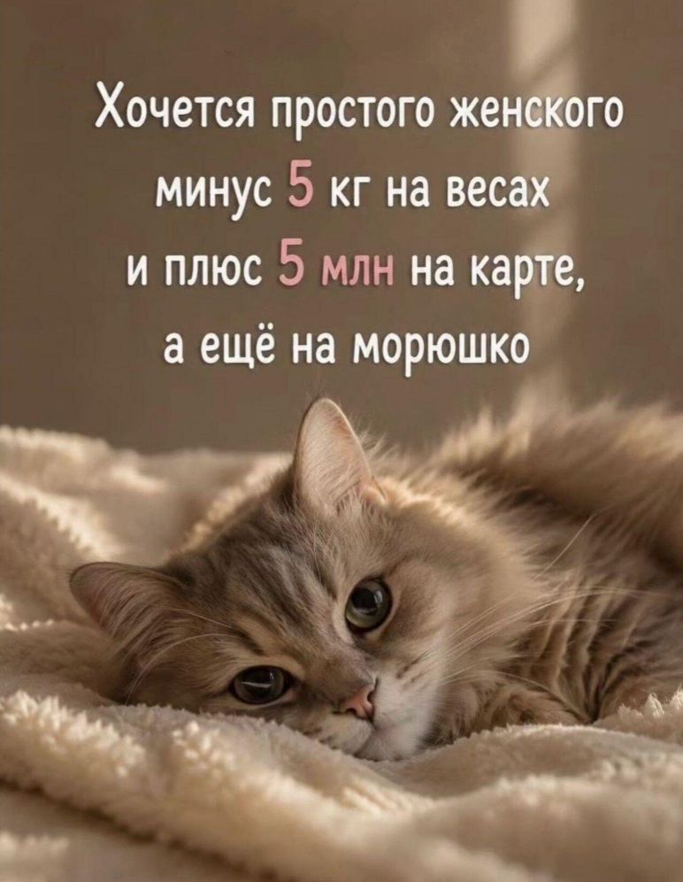 Хочется простого женского минус 5 кг на весах и плюс 5 млн на карте, а ещё на морюшко