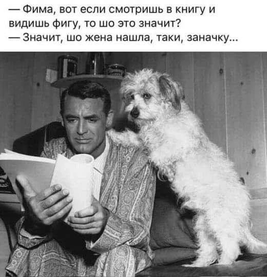 — Фима, вот если смотришь в книгу и видишь фигу, то шо это значит? — Значит, шо жена нашла, таки, заначку...