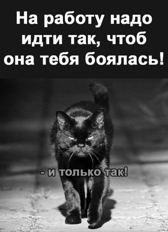 На работу надо идти так, чтоб она тебя боялась! - И только так!