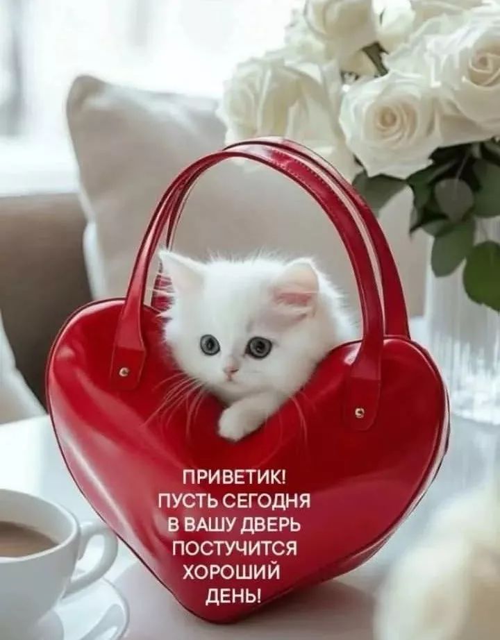 ПРИВЕТИК! ПУСТЬ СЕГОДНЯ В ВАШУ ДВЕРЬ ПОСТУЧИТСЯ ХОРОШИЙ ДЕНЬ!