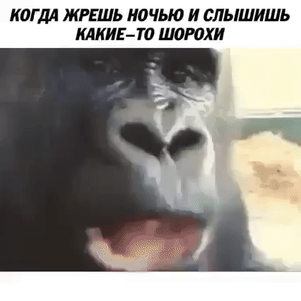 КОГДА ЖРЕШЬ НОЧЬЮ И СЛЫШИШЬ КАКИЕ-ТО ШОРОХИ
