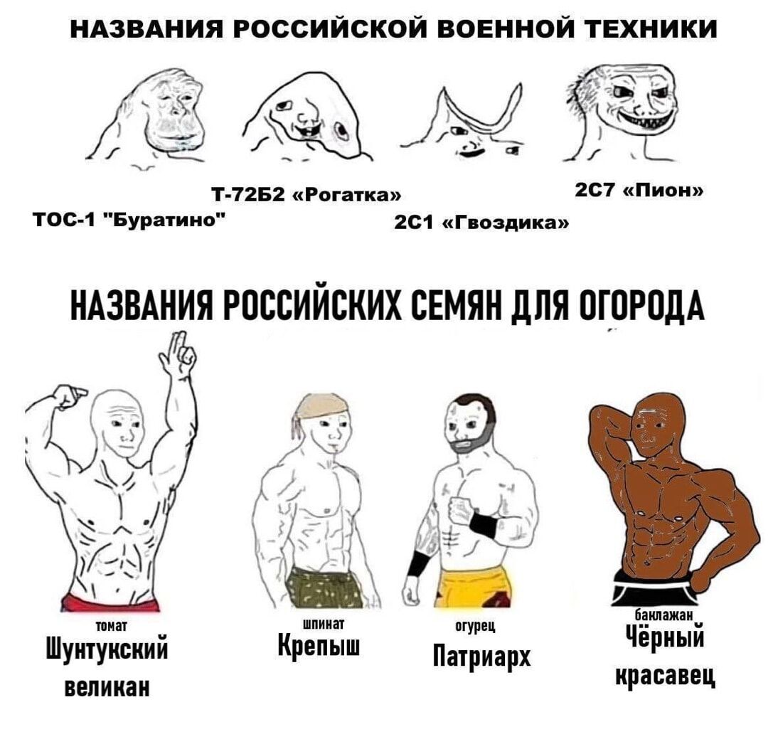 НАЗВАНИЯ РОССИЙСКОЙ ВОЕННОЙ ТЕХНИКИ ТОС-1 