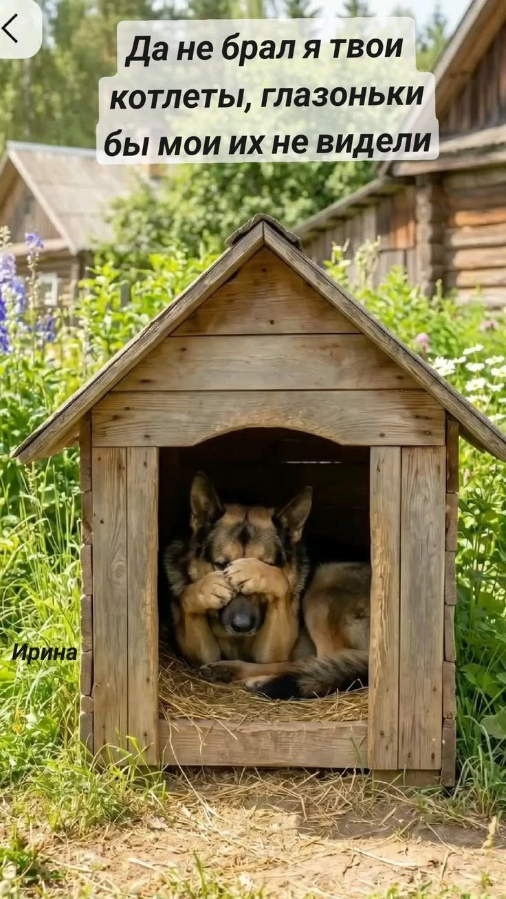 Да не брал я твои котлеты, глазоньки бы мои их не видели