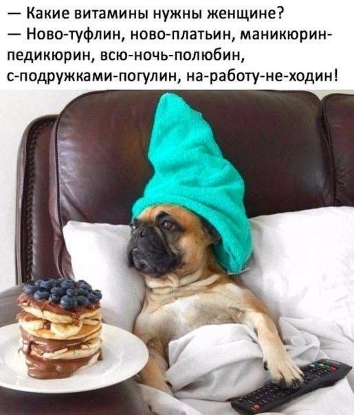 Какие витамины нужны женщине? – Ново-туфлин, ново-платьин, маникюрин-педикюрин, всю-ночь-полюбин, с-подружками-погулин, на-работу-не-ходин!
