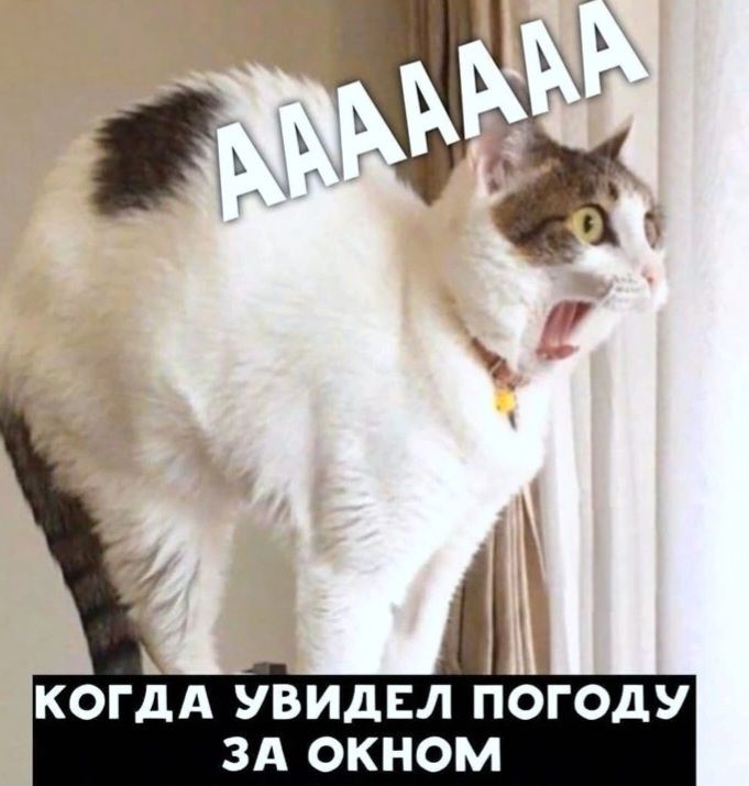AAAAAAA КОГДА УВИДЕЛ ПОГОДУ ЗА ОКНОМ