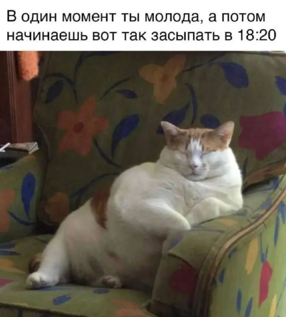В один момент ты молода, а потом начинаешь вот так засыпать в 18:20