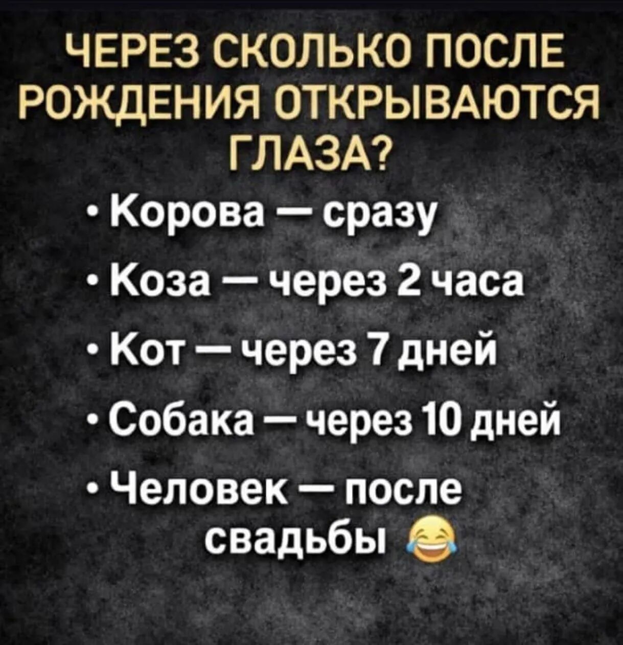 ЧЕРЕЗ СКОЛЬКО ПОСЛЕ РОЖДЕНИЯ ОТКРЫВАЮТСЯ ГЛАЗА?
• Корова — сразу
• Коза — через 2 часа
• Кот — через 7 дней
• Собака — через 10 дней
• Человек — после свадьбы 😂