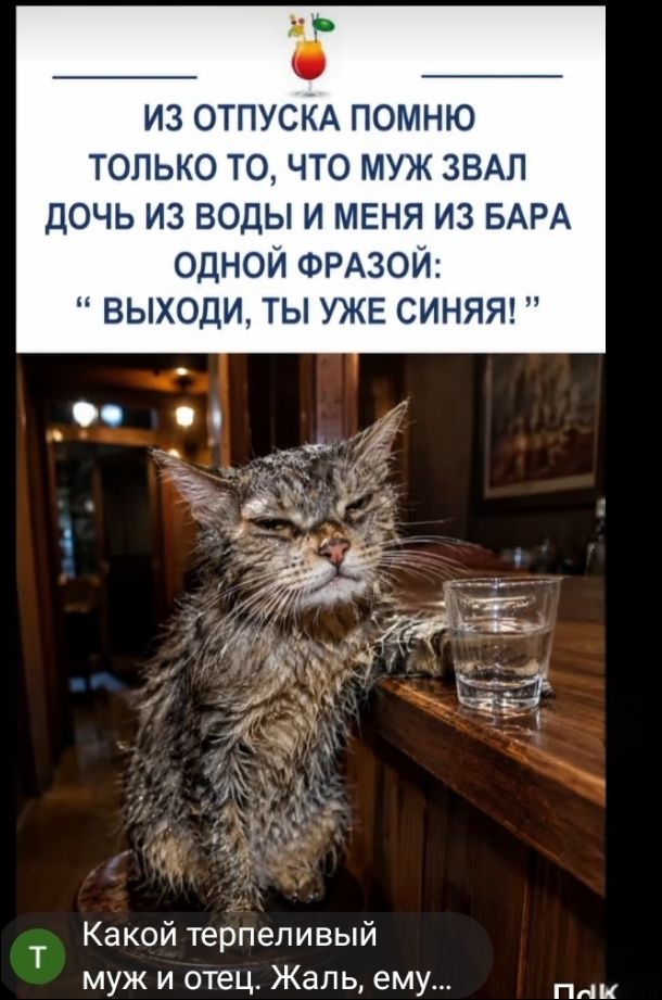 ИЗ ОТПУСКА ПОМНЮ ТОЛЬКО ТО, ЧТО МУЖ ЗВАЛ ДОЧЬ ИЗ ВОДЫ И МЕНЯ ИЗ БАРА ОДНОЙ ФРАЗОЙ: 