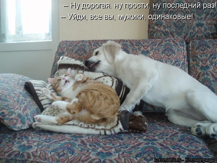 Ну дорогая. ну прости, ну последний раз! Уйди, все вы, мужики, одинаковые!