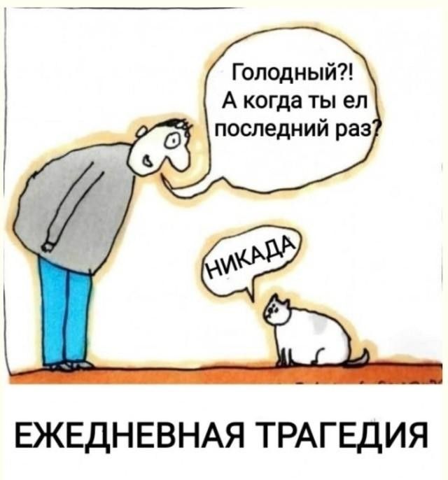 Голодный?! А когда ты ел последний раз? НИКАДА ЕЖЕДНЕВНАЯ ТРАГЕДИЯ