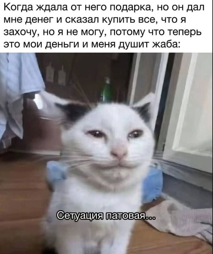 Когда ждала от него подарка, но он дал мне денег и сказал купить все, что я захочу, но я не могу, потому что теперь это мои деньги и меня душит жаба: Ситуация патовая...