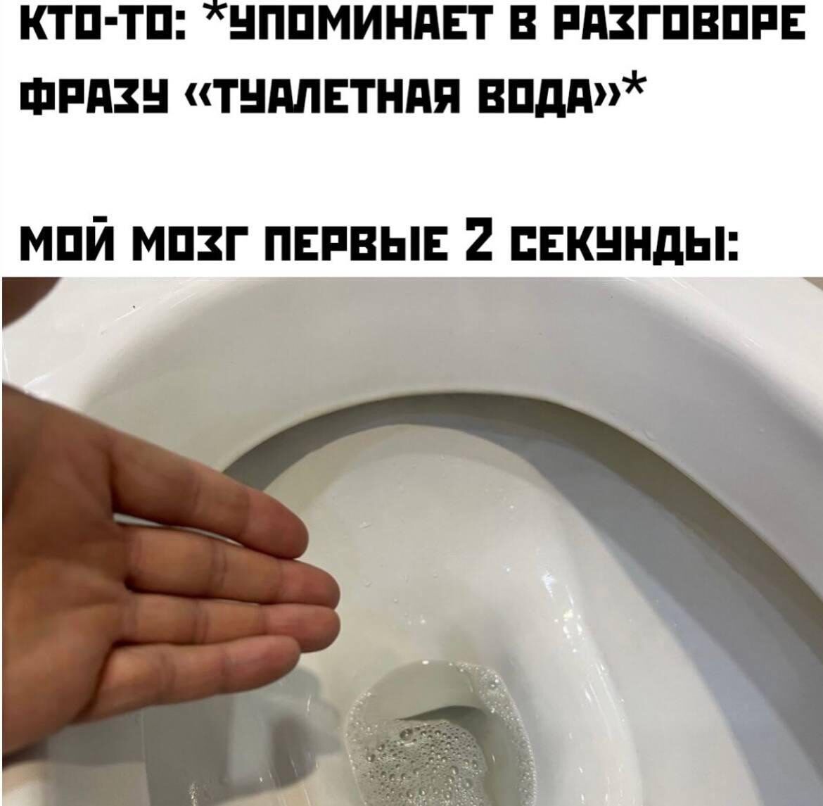 КТО-ТО: *УПОМИНАЕТ В РАЗГОВОРЕ ФРАЗУ «ТУАЛЕТНАЯ ВОДА»* МОЙ МОЗГ ПЕРВЫЕ 2 СЕКУНДЫ: